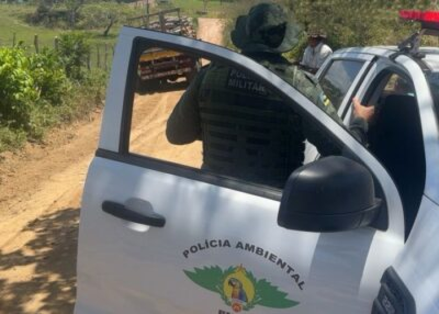 Polícia Militar apreende caminhão com madeira nativa em Indiaroba