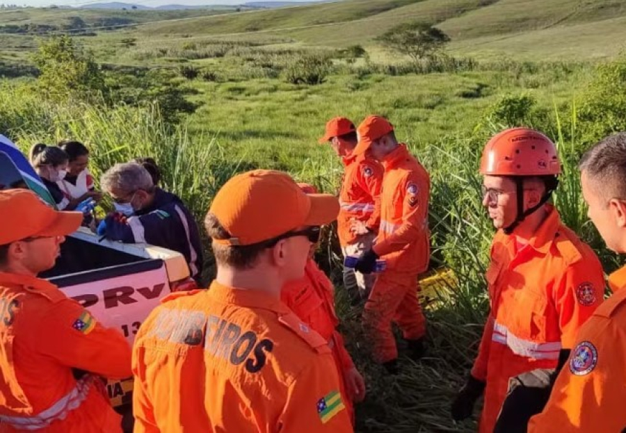 Homem morre em acidente após ser atacado por abelhas