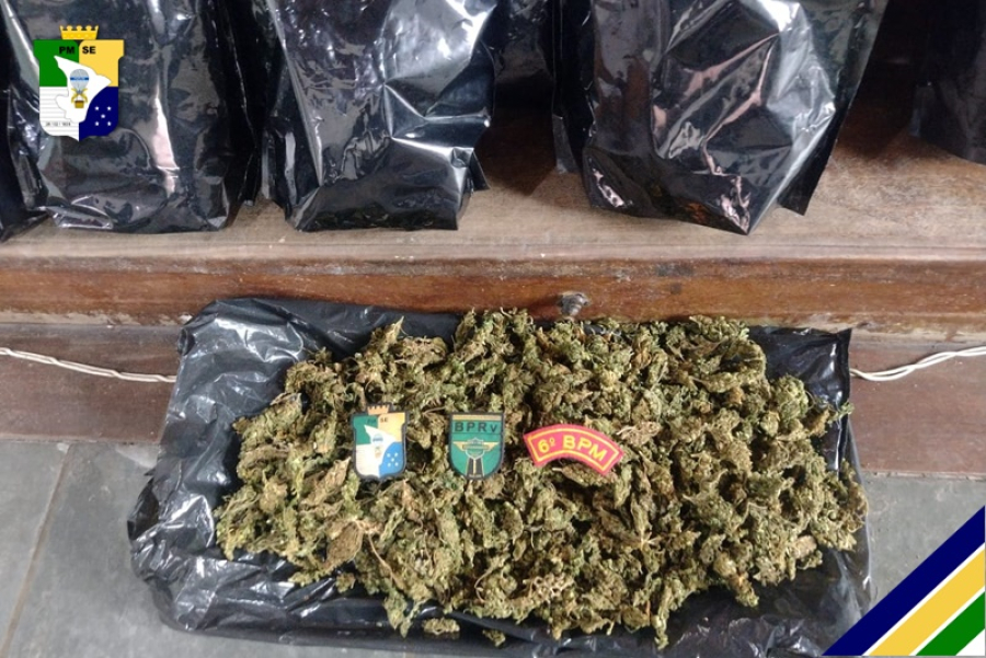 Polícia Militar apreende mais de 16kg de maconha em Santa Luzia do Itanhy